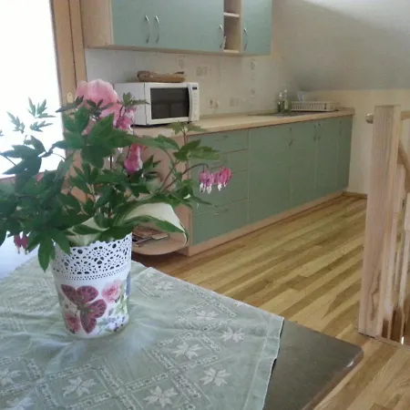 Гостевой дом Birutes 3*