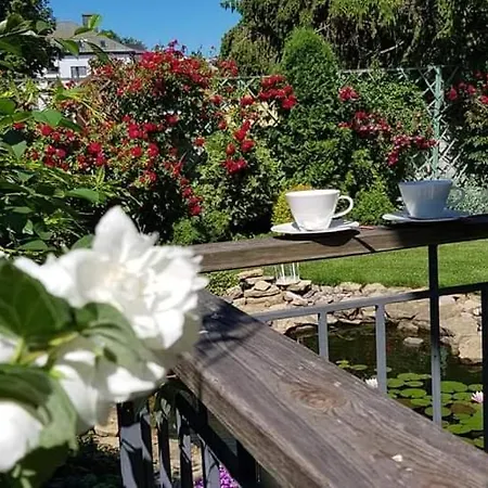 Birutes Паланга