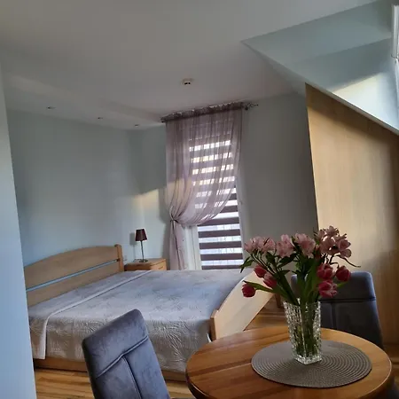 Birutes Guest house *