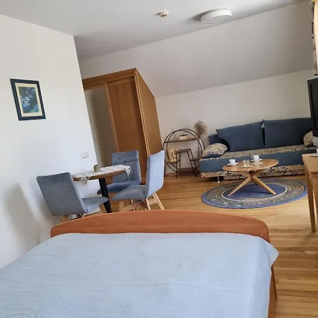 Birutes Паланга