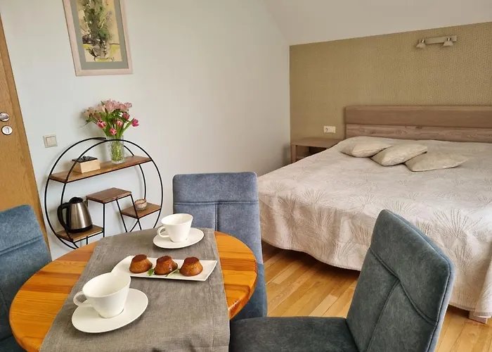 Birutes Гостевой дом