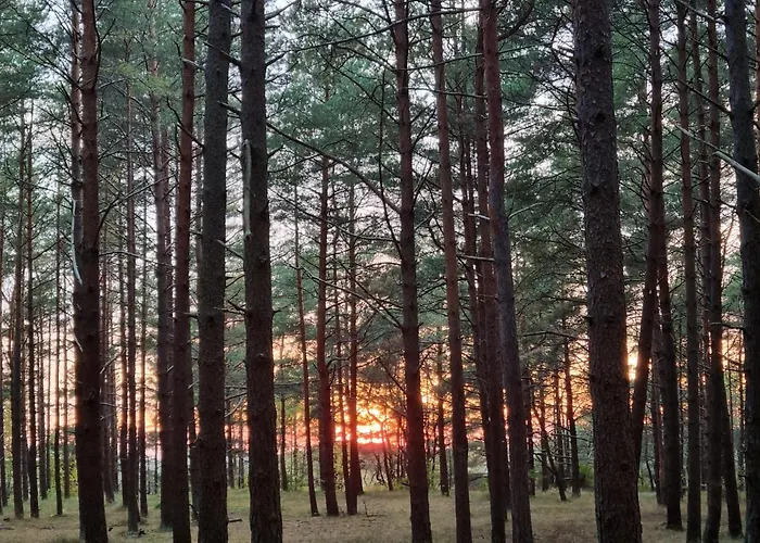 Гостевой дом Birutes Паланга