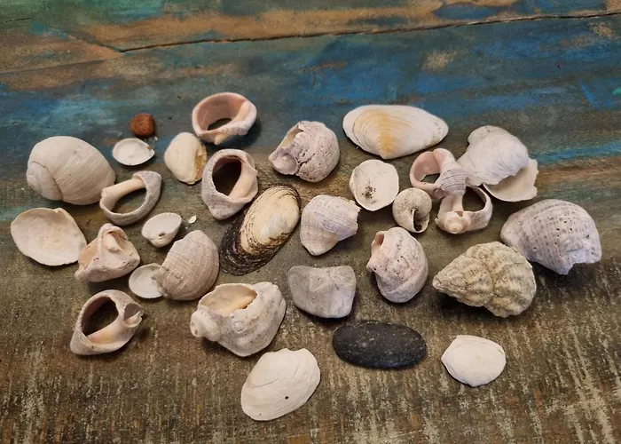 Birutes Гостевой дом Паланга