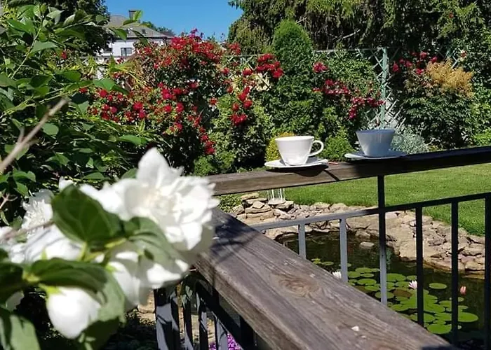 Birutes Паланга