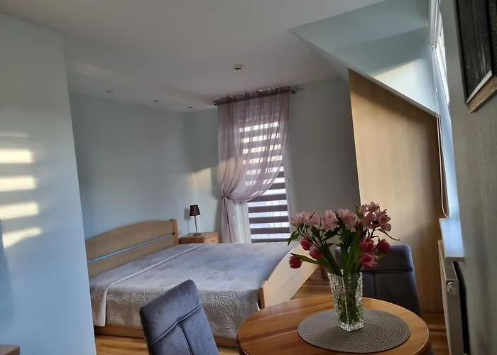 Birutes Гостевой дом 3*