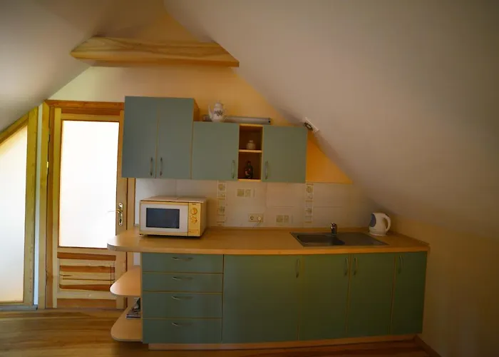 Birutes Гостевой дом 3*